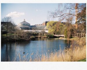 a pond with a building in the background