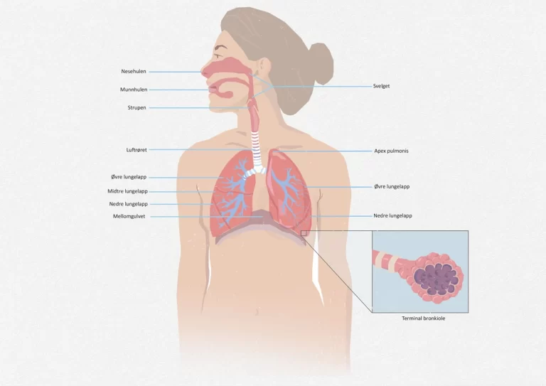 a diagram of a woman's body